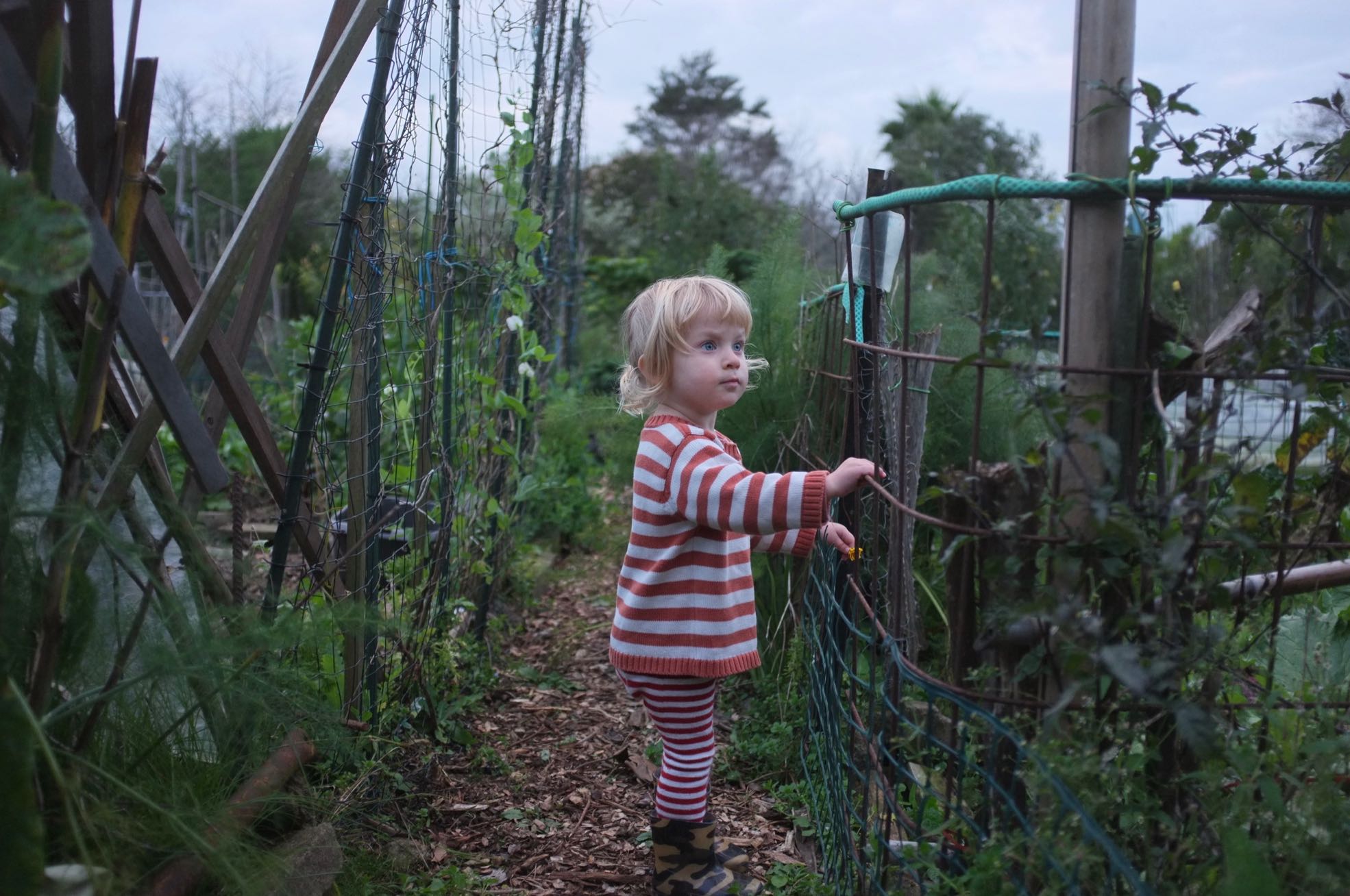 57AD8208-0B71-49BF-BDB7-BFBE306E8648